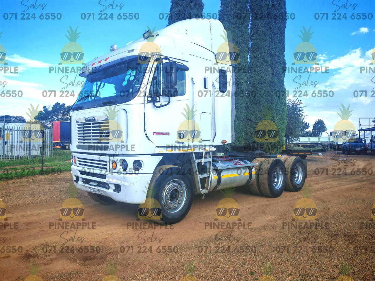 Pineapple Sales truck